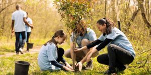 Presentamos el Calendario 2026 de Acción Ecologista Madrid Oeste.