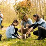 Presentamos el Calendario 2026 de Ecologistas en Acción Móstoles