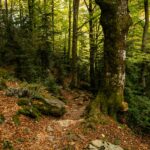 Artículo normal con gutemberg