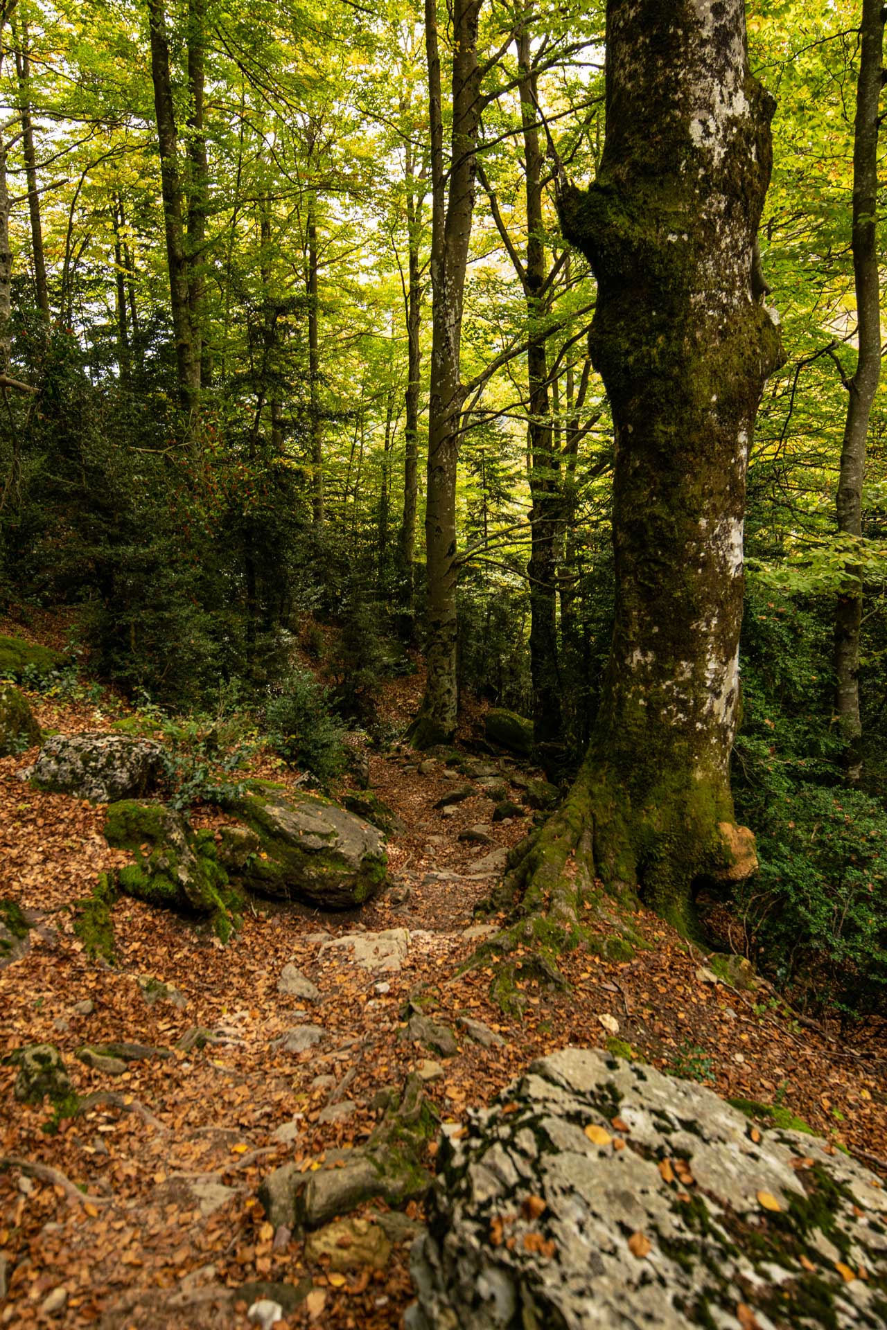 Artículo normal con gutemberg